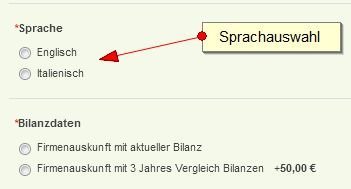 italien-firmenauskunft-sprachauswahl