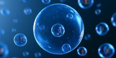 Import der LinkedIn Kontakte in das Bubble Cockpit